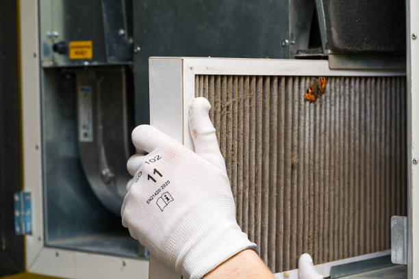 Best Air Duct Sanitizing Services  in De Queen, AR